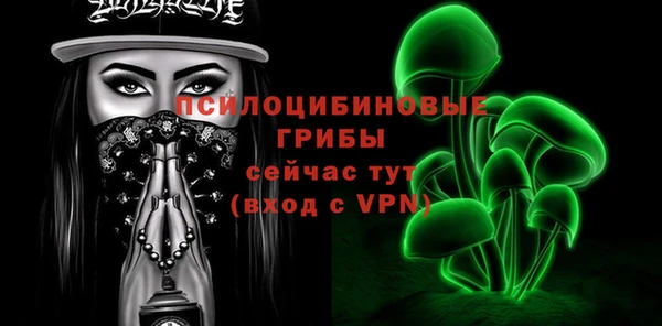 прущие грибы Абдулино