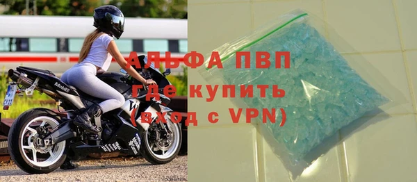 прущие грибы Абдулино