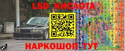 дмт Бийск