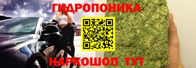 дмт Бийск