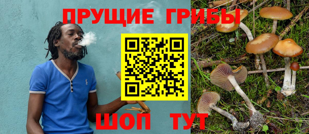 Галлюциногенные грибы Cubensis Домодедово